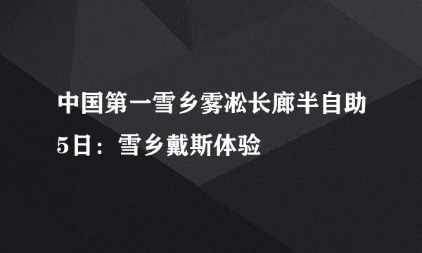 中国第一雪乡雾凇长廊半自助5日：雪乡戴斯体验