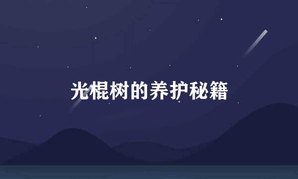 光棍树的养护秘籍