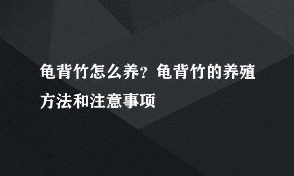 龟背竹怎么养？龟背竹的养殖方法和注意事项