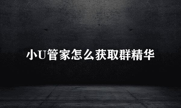 小U管家怎么获取群精华