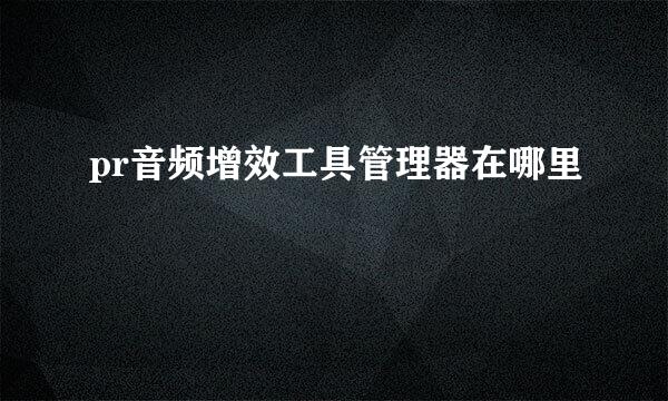 pr音频增效工具管理器在哪里