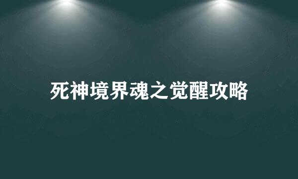 死神境界魂之觉醒攻略
