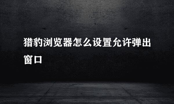 猎豹浏览器怎么设置允许弹出窗口
