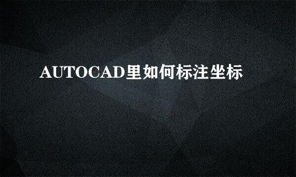 AUTOCAD里如何标注坐标