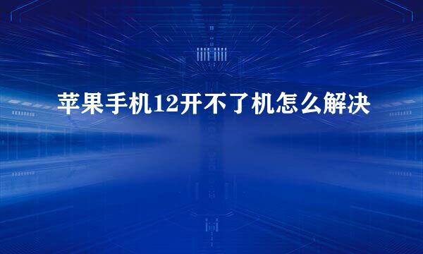苹果手机12开不了机怎么解决