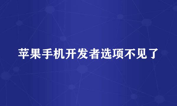 苹果手机开发者选项不见了