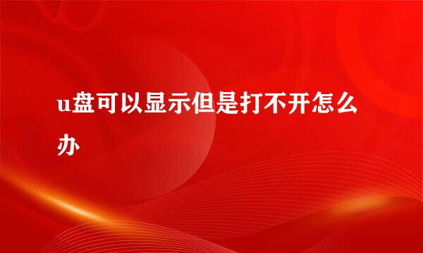 u盘可以显示但是打不开怎么办