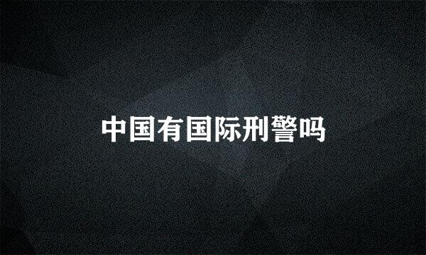 中国有国际刑警吗