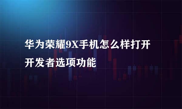 华为荣耀9X手机怎么样打开开发者选项功能