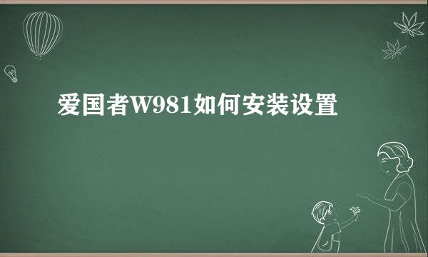爱国者W981如何安装设置