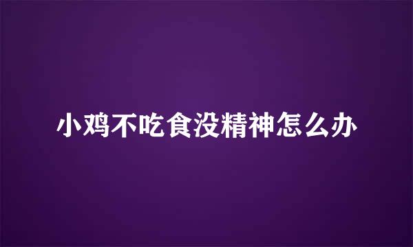 小鸡不吃食没精神怎么办