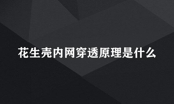 花生壳内网穿透原理是什么