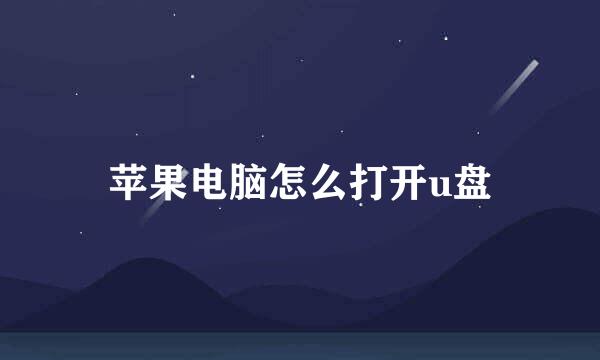 苹果电脑怎么打开u盘
