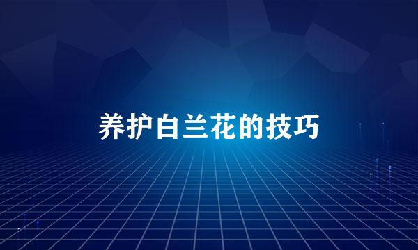 养护白兰花的技巧