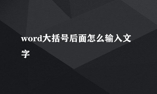 word大括号后面怎么输入文字
