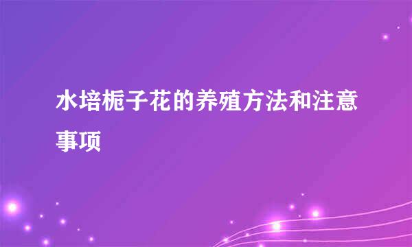 水培栀子花的养殖方法和注意事项
