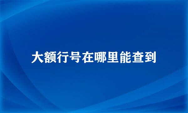 大额行号在哪里能查到