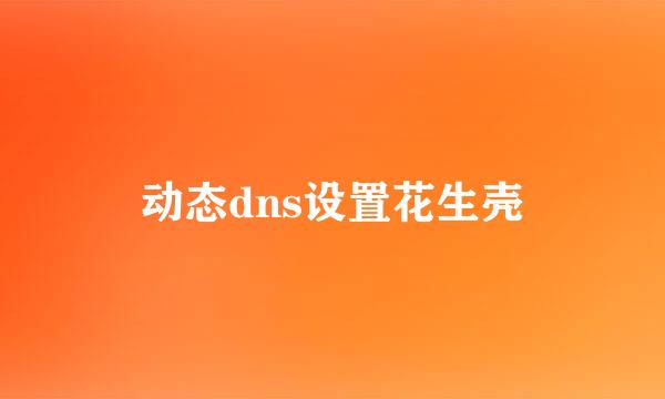 动态dns设置花生壳