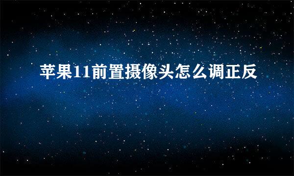 苹果11前置摄像头怎么调正反