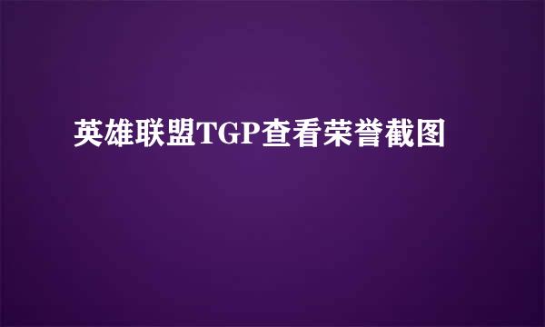 英雄联盟TGP查看荣誉截图