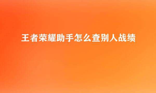 王者荣耀助手怎么查别人战绩