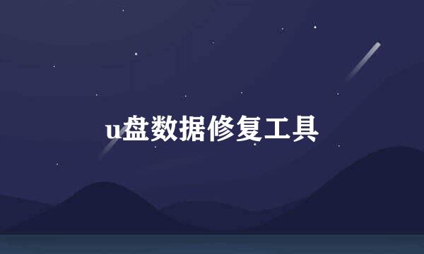 u盘数据修复工具