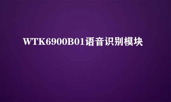 WTK6900B01语音识别模块