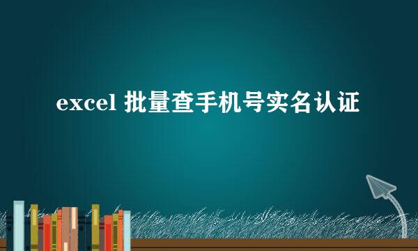 excel 批量查手机号实名认证
