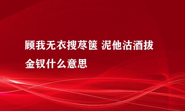 顾我无衣搜荩箧 泥他沽酒拔金钗什么意思
