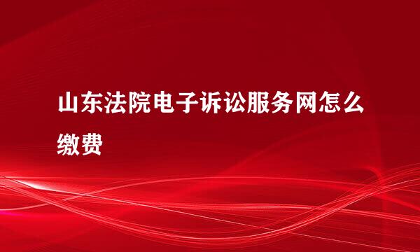 山东法院电子诉讼服务网怎么缴费