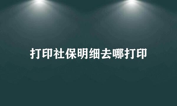 打印社保明细去哪打印