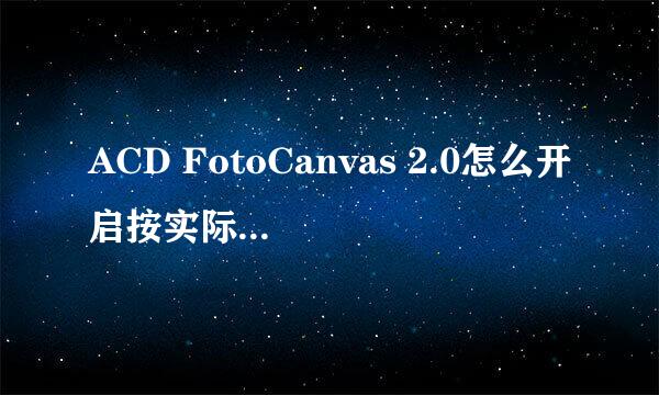 ACD FotoCanvas 2.0怎么开启按实际大小显示