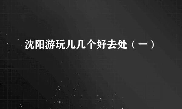 沈阳游玩儿几个好去处（一）