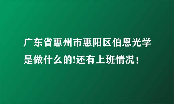 广东省惠州市惠阳区伯恩光学是做什么的!还有上班情况！