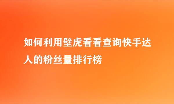如何利用壁虎看看查询快手达人的粉丝量排行榜