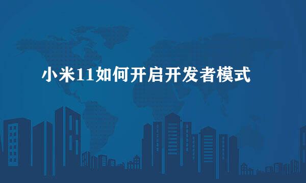 小米11如何开启开发者模式