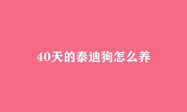 40天的泰迪狗怎么养