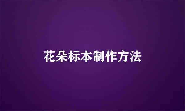 花朵标本制作方法