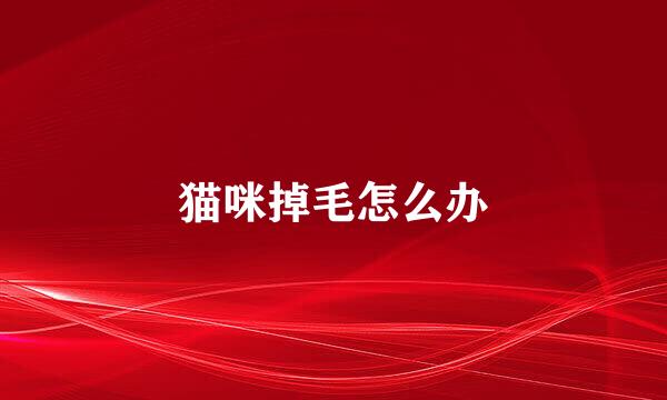 猫咪掉毛怎么办
