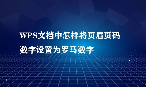 WPS文档中怎样将页眉页码数字设置为罗马数字