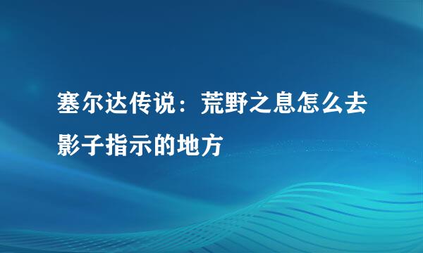 塞尔达传说：荒野之息怎么去影子指示的地方