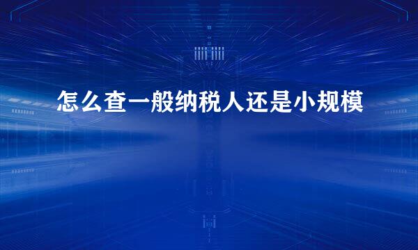 怎么查一般纳税人还是小规模
