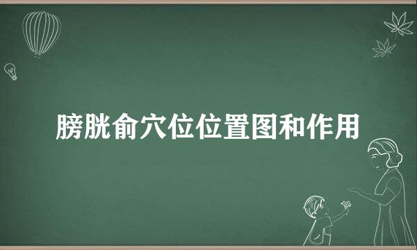 膀胱俞穴位位置图和作用