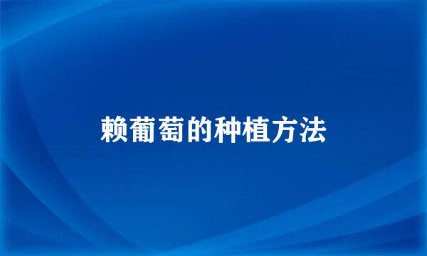 赖葡萄的种植方法