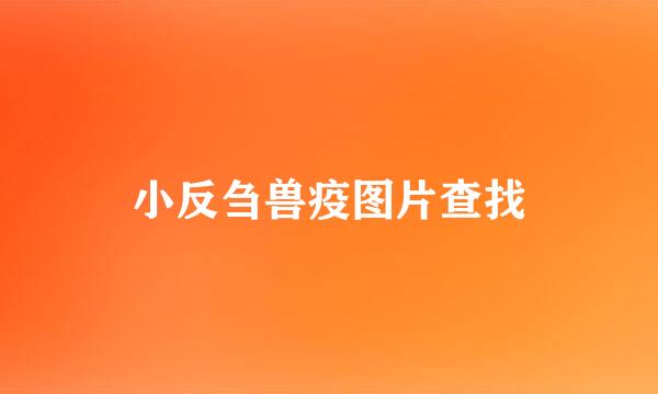 小反刍兽疫图片查找