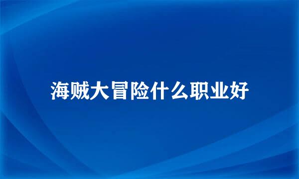 海贼大冒险什么职业好