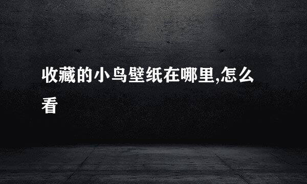 收藏的小鸟壁纸在哪里,怎么看