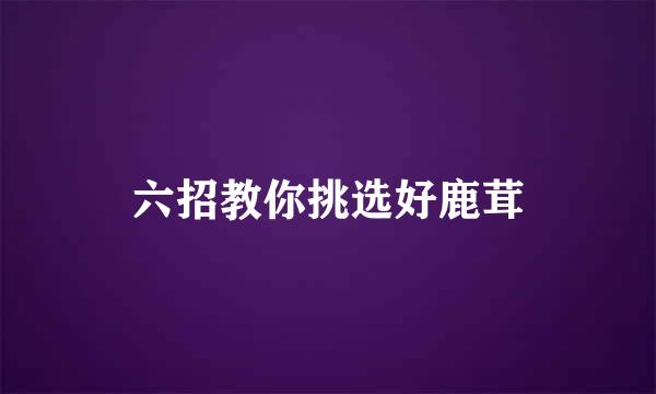 六招教你挑选好鹿茸