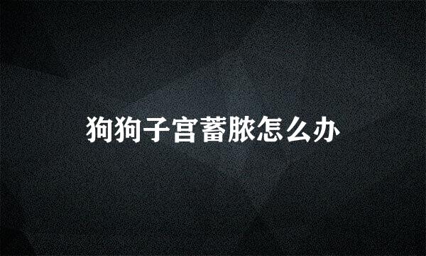 狗狗子宫蓄脓怎么办