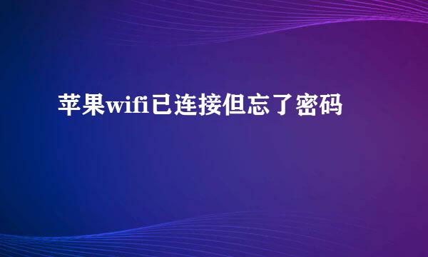 苹果wifi已连接但忘了密码